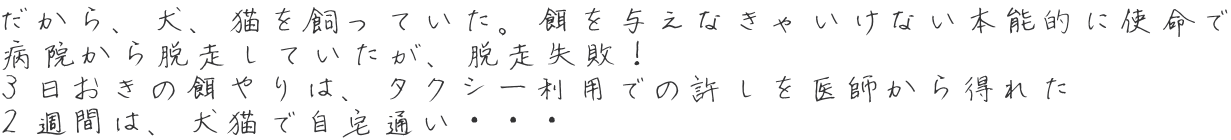 だから、犬、猫を飼っていた。餌を与えなきゃいけない本能的に使命で 病院から脱走していたが、脱走失敗！ ３日おきの餌やりは、タクシー利用での許しを医師から得れた ２週間は、犬猫で自宅通い・・・ 